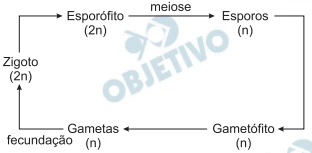 Questão 21 - Enem 2009 - Caderno Azul