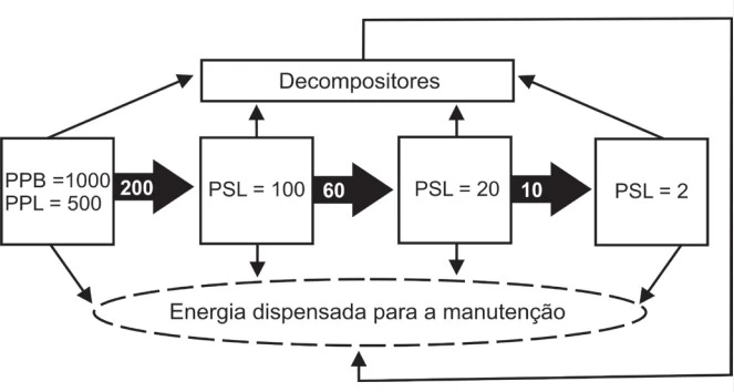 UNICAMP 2023