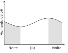 Questão 21 - FUVEST 2018