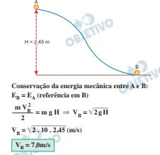 Questão 51 - FUVEST 2024