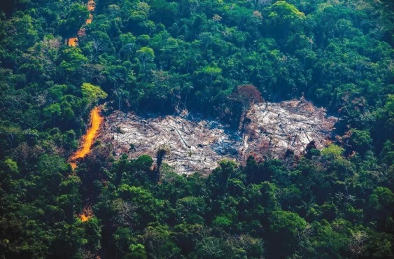UNESP 2021