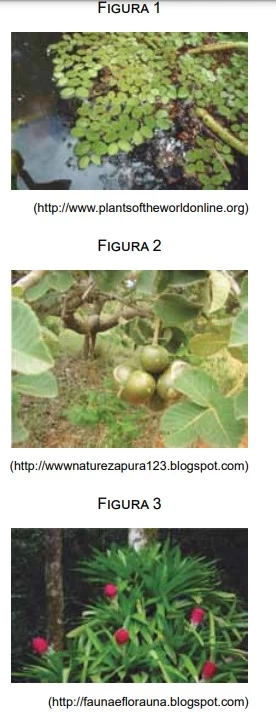 UNESP 2022