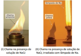 Questão 25 - FUVEST 2023