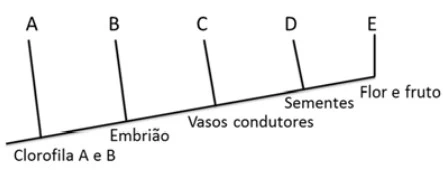 UNICAMP 2016