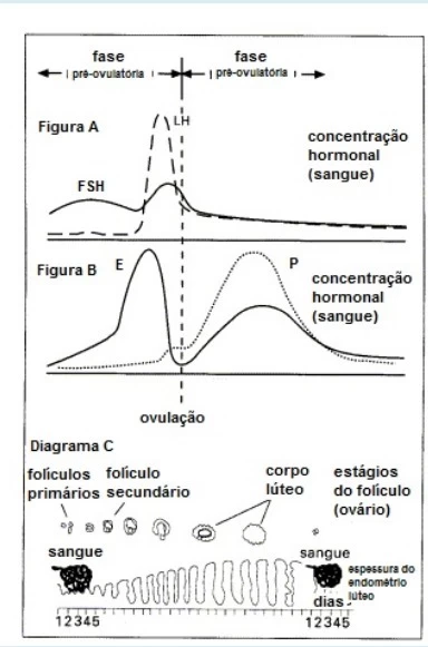 Questão 15 - FATEC 2020 - Caderno Azul