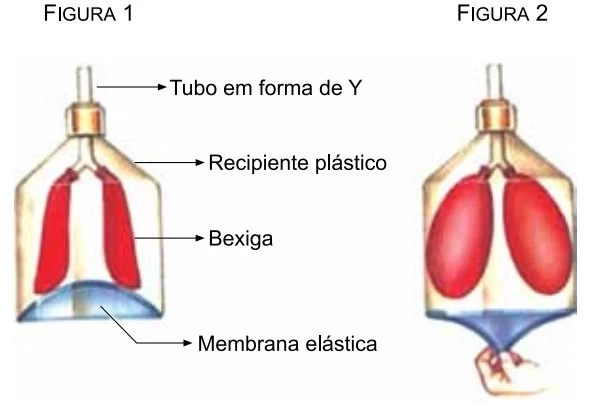 UNESP 2021