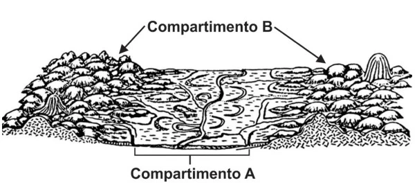 UNICAMP 2023