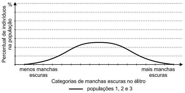 UNESP 2020