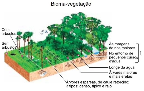 UNESP 2019