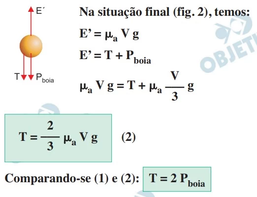UNICAMP 2019
