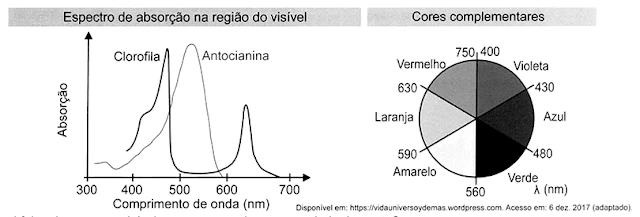 Questão 120 - Enem 2021 - Caderno Azul