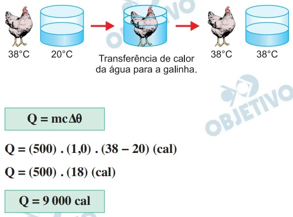 UNESP 2021