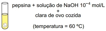 UNESP 2016/2