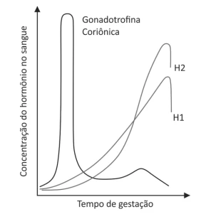 Questão 30 - FUVEST 2019