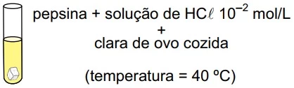 UNESP 2016/2
