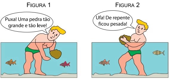 UNESP 2015