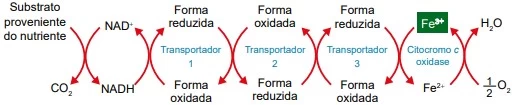 Questão 126 - ENEM 2023 - Caderno Azul