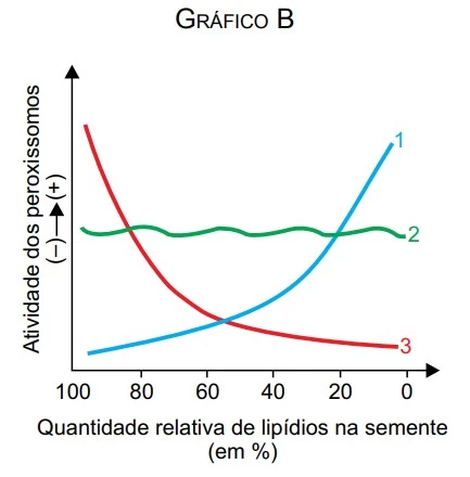 UNESP 2017