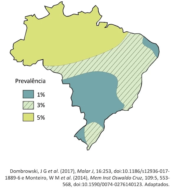 Questão 01 - FUVEST 2022