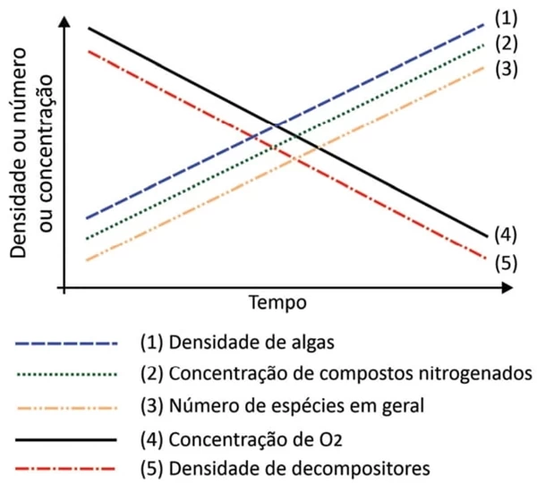 Questão 10 - FUVEST 2022