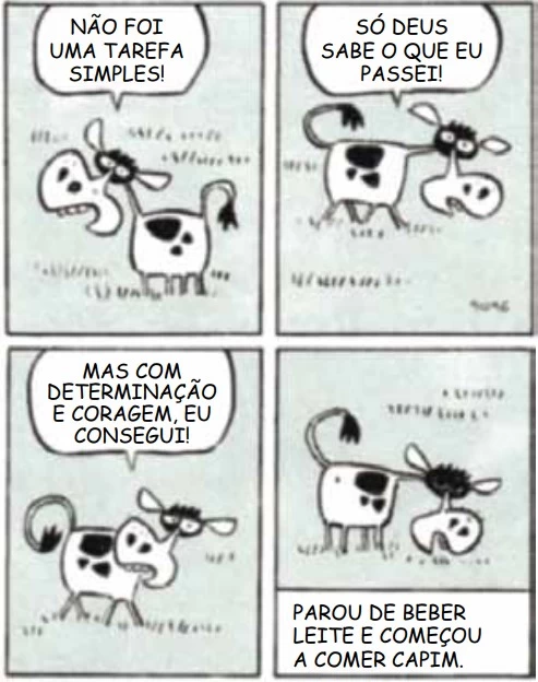 FAMERP 2022