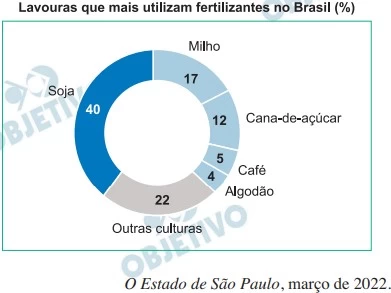 Questão 19 - FUVEST 2023