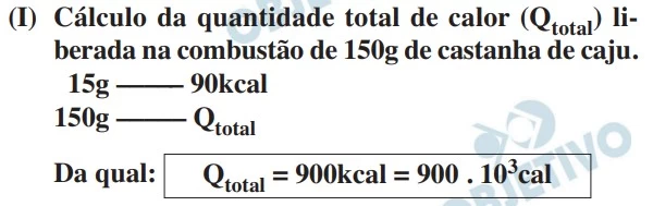 UNESP 2015