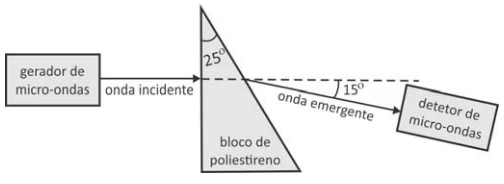 Questão 65 - FUVEST 2017