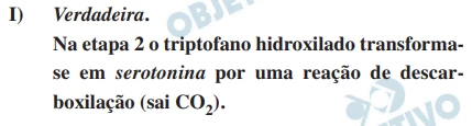 Questão 22 - FUVEST 2018