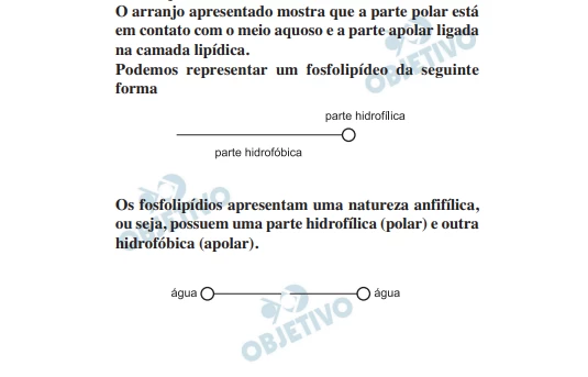 Questão 89 - Enem 2012 - Caderno Azul