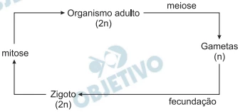 Questão 21 - Enem 2009 - Caderno Azul