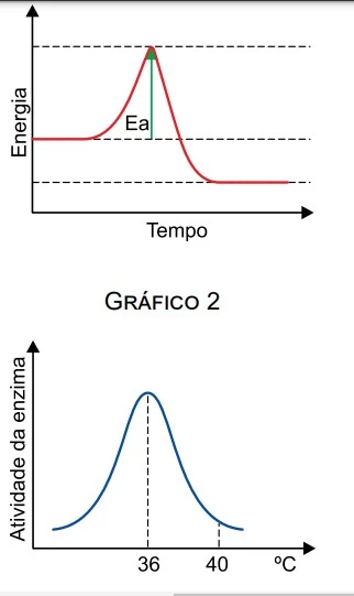 UNESP 2018/2