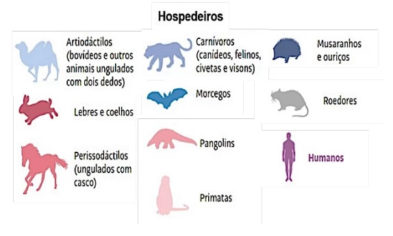 UNICAMP 2022