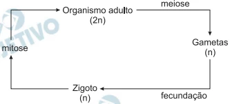 Questão 21 - Enem 2009 - Caderno Azul