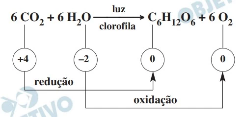 UNESP 2021