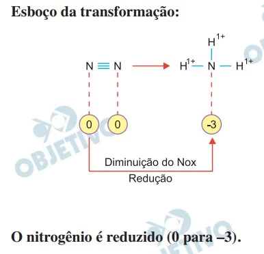 UNESP 2021