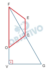 Questão 06 - FG 2020