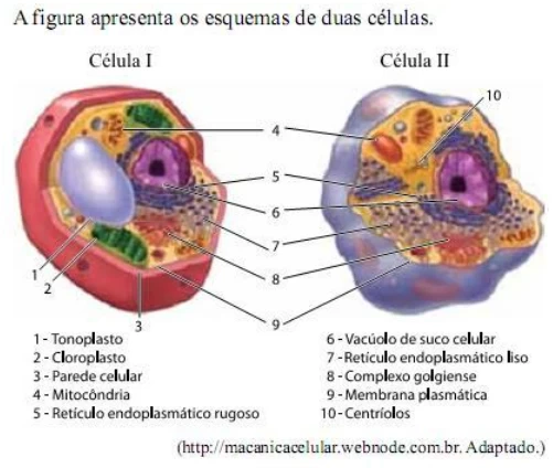 VUNESP 2012