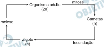 Questão 21 - Enem 2009 - Caderno Azul
