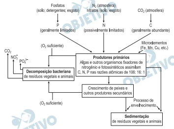 Questão 62 - Enem 2011 - Caderno Azul