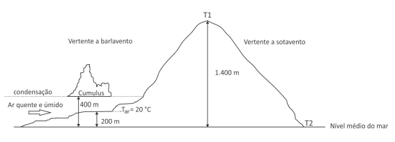 Questão 12 - FUVEST 2019