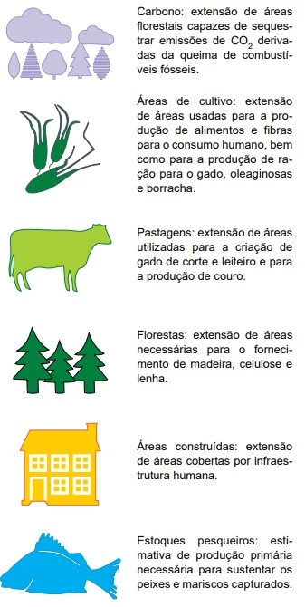 UNESP 2023