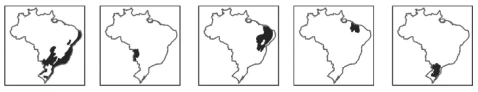 Questão 47 - FUVEST 2014