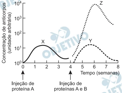 Questão 13 - FUVEST 2012
