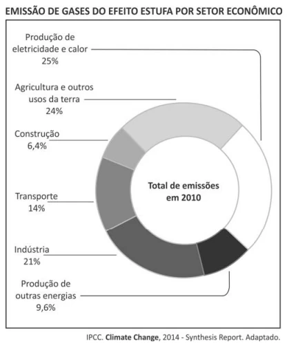 Questão 40 - FUVEST 2017