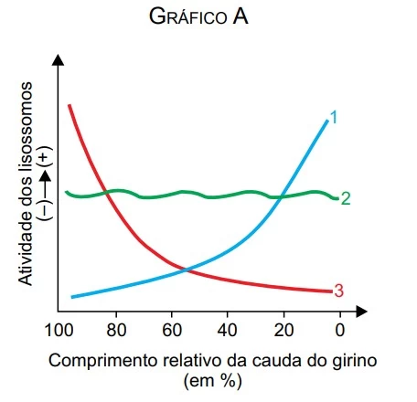 UNESP 2017