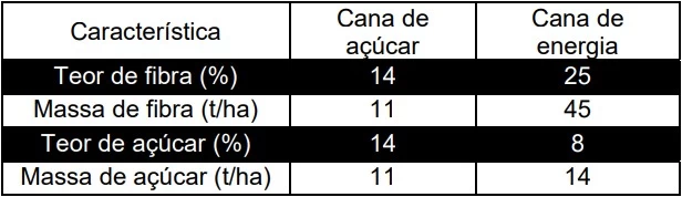 UNICAMP 2022