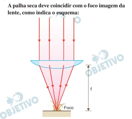 Questão 23 - FUVEST 2019