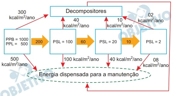UNICAMP 2023