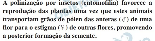 UNICAMP 2017